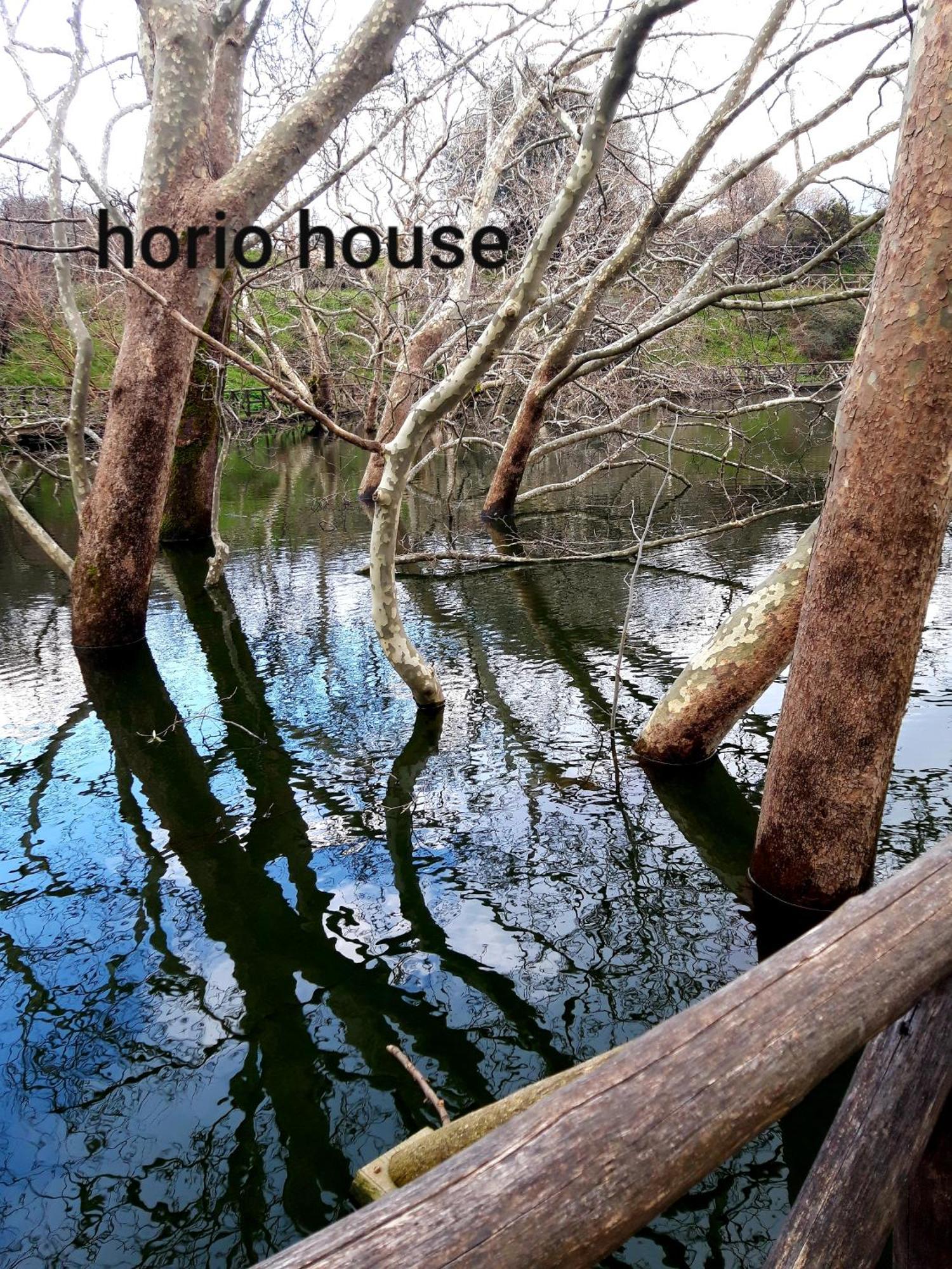 Horio House Villa Limni  ห้อง รูปภาพ